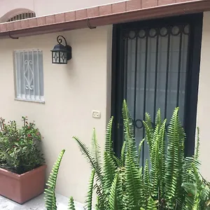 Casa Mascagni , CTA Italia